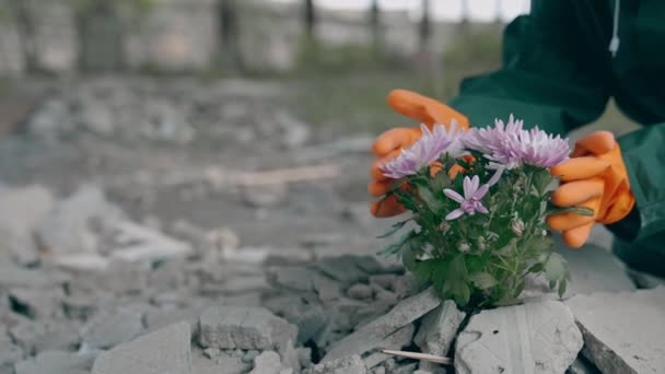 Λουλούδια Πέτρες Οικολόγος Προστατευτικά Γάντια Και Κοστούμι Αγγίζοντας Φρέσκα Λουλούδια — Αρχείο Βίντεο
