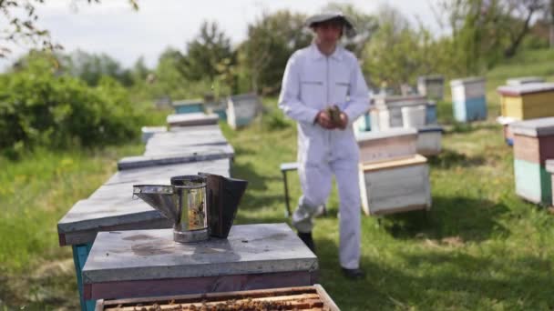Létě Včelín Komín Ochranu Před Včelami Úlu Včelař Bílém Obleku — Stock video