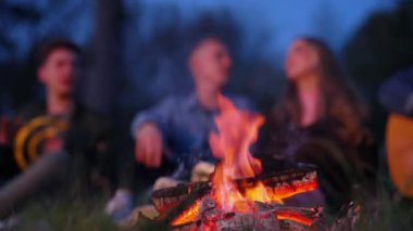 Bulanık arka planda yanan odunlar. Genç arkadaşlar gece kamp ateşinde piknik yapıyorlar. Mutlu arkadaşlıklar.