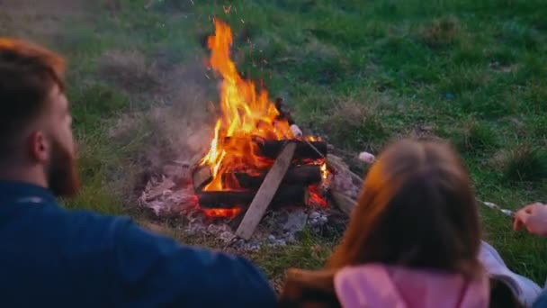 晚上在篝火边野餐的年轻人 快乐的朋友把棉花糖烧着了 年轻夫妇与朋友共度良宵 — 图库视频影像