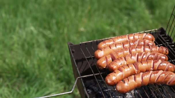 Saucisses Sur Gril Cuisson Saucisses Hot Dog Sur Une Grille — Video