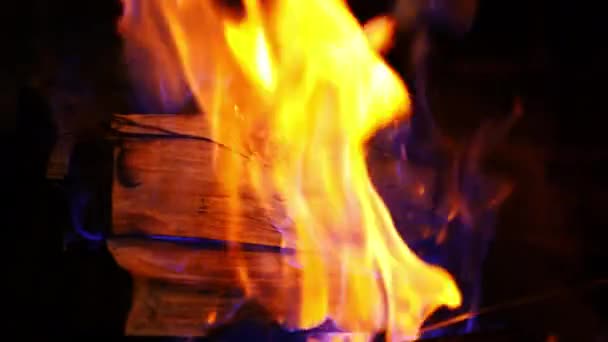 木の上の青とオレンジの炎 火は暖炉で燃えていた 黒い背景にビビッドフレーム 木製のログを燃やしています クローズアップ — ストック動画