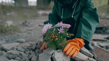 Çevre bilimci çiçekleri tehlikeli bölgede saklıyor. Tehlikeli madde giysisi ve koruyucu eldivenli bir adam kirlenmiş bir yerden çiçek topluyor. Çevre felaketi.