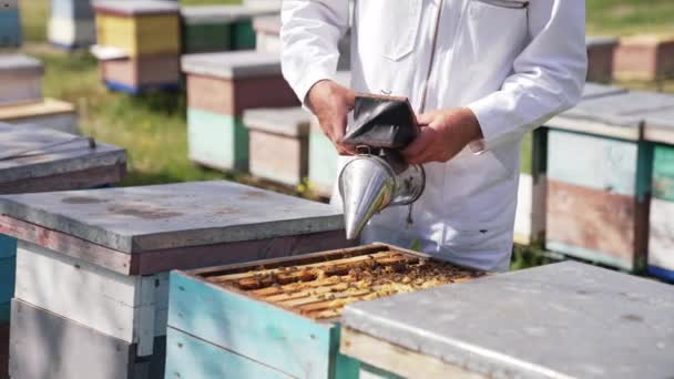 Καμινάδα Στα Χέρια Του Μελισσοκόμου Απιαρίστας Λευκό Κοστούμι Χρησιμοποιεί Καπνιστή — Αρχείο Βίντεο