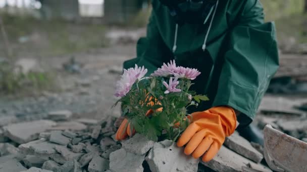 Ecologist Saving Flowers Dangerous Zone Man Hazmat Suit Protective Gloves — Stock Video