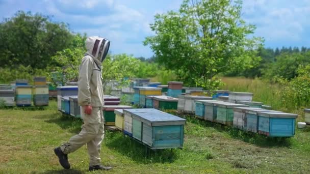 Χαμογελαστοί Μελισσοκόμοι Στο Μελισσοκομείο Άντρας Και Γυναίκα Bee Masters Προστατευτικές — Αρχείο Βίντεο