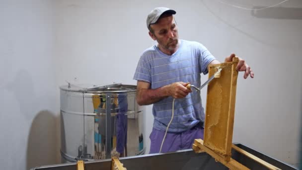 Πιαρίστας Ετοιμάζει Κηρήθρα Για Την Άντληση Μελιού Αρσενικό Μελισσοκόμος Αφαιρεί — Αρχείο Βίντεο