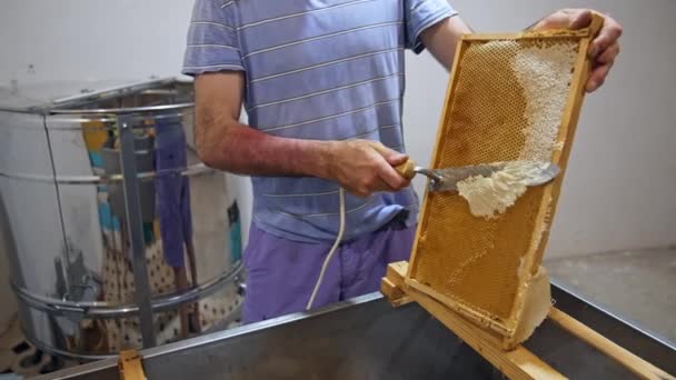 養蜂家は新鮮な黄金の蜂蜜でいっぱいのハニカムで働いています 蜂のマスターはハチミツをポンピングする準備を手でスクレーパーで余分な蜂蜜ワックスを取り除きます — ストック動画