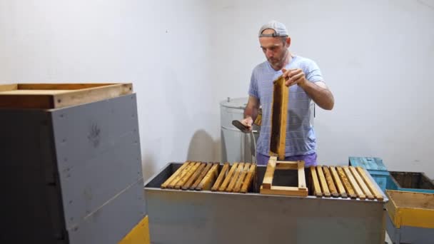 Μελισσοκόμος Εσωτερικούς Χώρους Αρσενικός Μελισσοκόμος Που Προετοιμάζει Πλαίσια Κηρήθρες Πριν — Αρχείο Βίντεο
