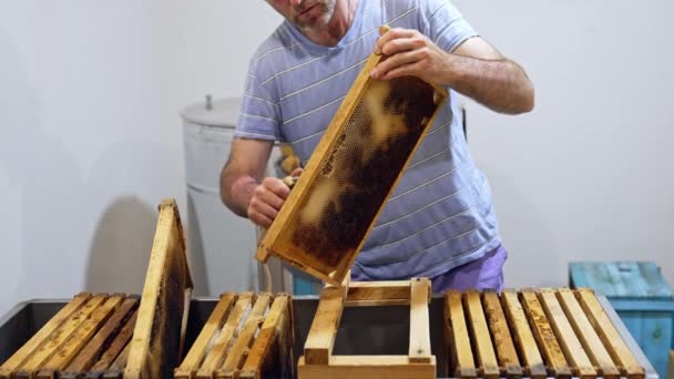 新的蜂蜜收获 养蜂人用手工刮胡刀去除多余的蜂蜡 制作人员用蜂窝制作框架 用于在农场上抽蜜 — 图库视频影像