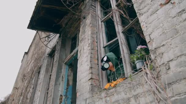 呼吸机里的人从窗户破了的破烂不堪的大楼里望去 生物袭击后荒废地区的花盆与生态学家 — 图库视频影像