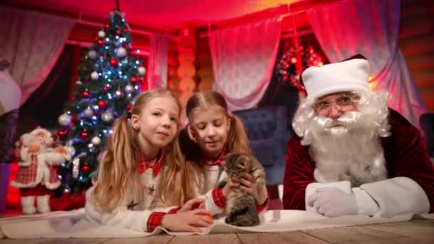 小さな猫とサンタクロースの子供たち クリスマスの装飾された部屋の背景にサンタのプレゼントとしてかわいい子猫を保持する幸せな少女の肖像画 — ストック動画