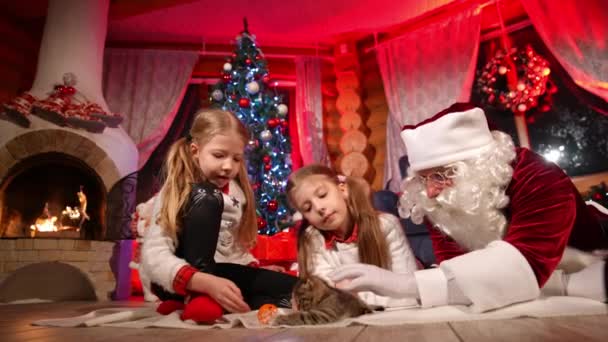 大晦日に子供とサンタさん 暖炉とクリスマスツリーの背景に小さな子猫と遊ぶ少女とサンタクロース クリスマスの居心地の良い雰囲気 — ストック動画