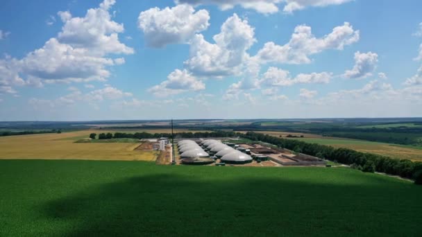 被田野包围的企业夏天的艳阳天 沼气在大自然中盛行一时 用于生产沼气的大型储气罐 空中景观 — 图库视频影像