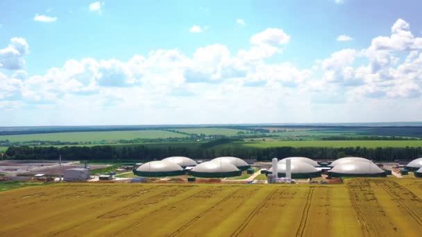 Fazenda Inovadora Para Produção Biológica Campo Fábrica Biogás Cercada Pela — Vídeo de Stock
