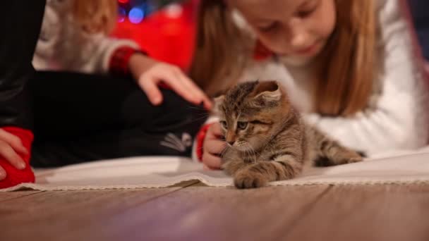 Schöne Kleine Kätzchen Und Kinder Weihnachtswunder Für Kinder Mädchen Spielen — Stockvideo