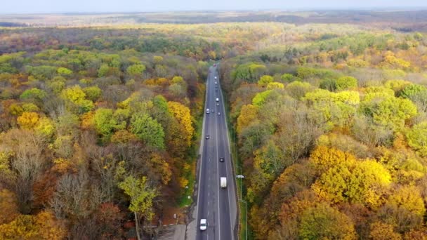 Autostrada Tra Paesaggi Naturali Autunnali Strada Con Auto All Interno — Video Stock