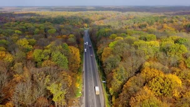路在美丽的森林中央 在美丽的自然背景下 卡车和汽车在高速公路两侧行驶 空中景观 — 图库视频影像