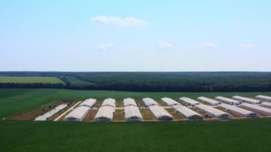 Yeşil arazide bir çiftlik. Yaz mevsiminde tarımla ilgili işler. Güzel doğa geçmişi olan modern ahır evleri. Hava görünümü.