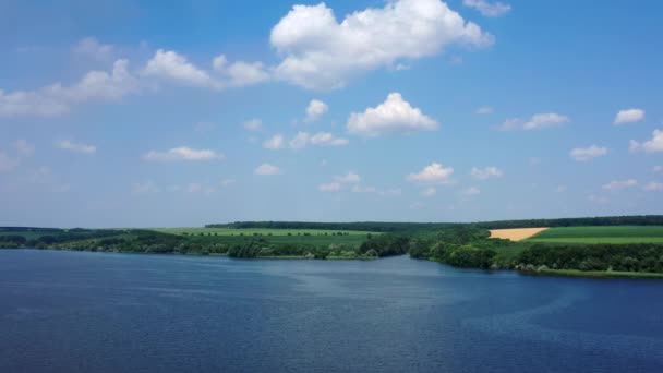 夏の自然のトランクの雰囲気 空の下の美しい青い川を飛ぶ 緑地の背景にあるクリーンな湖の風景 エアリアルビュー — ストック動画