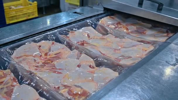Produktion Fjäderfäkött Livsmedelsfabrik Obearbetat Kycklingkött Förpackat Särskilda Behållare Fjäderfäbearbetningsanläggning — Stockvideo