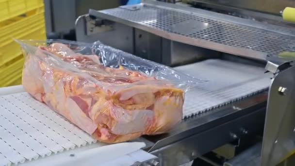肉加工プラント コンベアラインの真空バッグに包まれたレディチキン肉 労働者は家禽農場で肉を包む — ストック動画