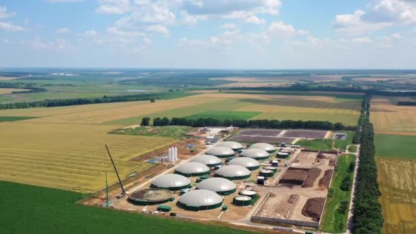 Produção Biogás Nova Planta Construída Campos Energia Renovável Partir Biomassa — Vídeo de Stock