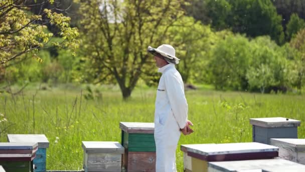 Pszczelarz Farmie Pszczół Przyrodzie Pszczelarz Białym Garniturze Kapelusz Ochronny Stojący — Wideo stockowe