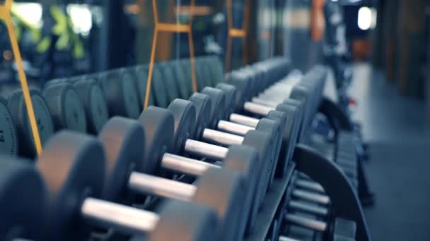 健身房里的运动器材 健身中心有一排笨重的哑铃 肌体健美师每天带哑铃进行锻炼 后续行动 — 图库视频影像
