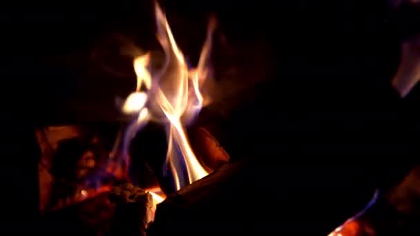 Fuego Chimenea Leña Quemándose Chimenea Para Calefacción Casa Temporada Invierno — Vídeos de Stock