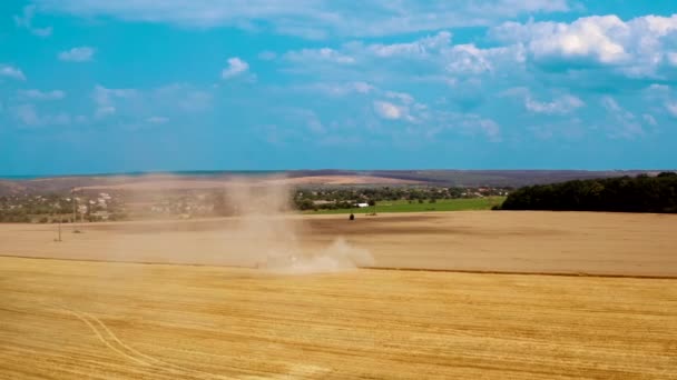 Skördar Mogen Gröda Jordbruksmark Stort Damm Från Skördetröska Fältet Agronomi — Stockvideo