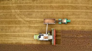 Hasat mevsiminde tarım makineleri çalışıyor. Olgun tohumlar, sarı arka planda hasat makinesinden traktöre dökülüyor. Yörünge görünümü.