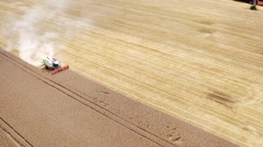 Tarım makinesi hasat mevsiminde tarlada çalışıyor. Havadaki birleşmeden sonra beyaz toz. Hasat makinesi olgun mahsulleri topluyor. Hava görünümü.