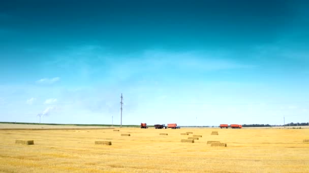 収穫期の農業機械について 青空の下に押されたベールが付いている黄色いフィールド トラクターやトラックのバックグラウンドにストローの乾燥バンドル — ストック動画