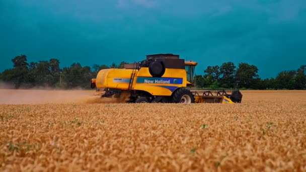 Harvester Machine Working Golden Field Summer Modern Combine Harvester Collecting — Stock Video