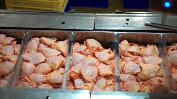 Производство Мяса Пищевой Промышленности Готовые Куски Куриного Мяса Лежат Контейнерах — стоковое видео