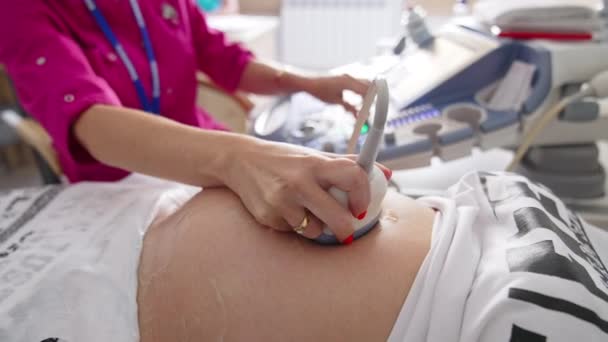 Ultrassonografia Obstétrica Investigação Ultra Som Uma Mulher Grávida Médico Fazer — Vídeo de Stock