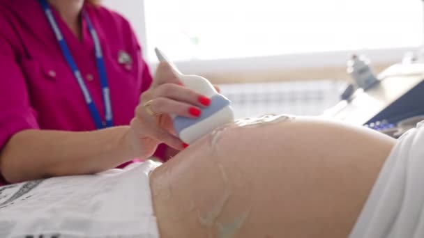 Procedimiento Ultrasónico Una Mujer Embarazada Ginecólogo Transductor Movimiento Vientre Una — Vídeo de stock