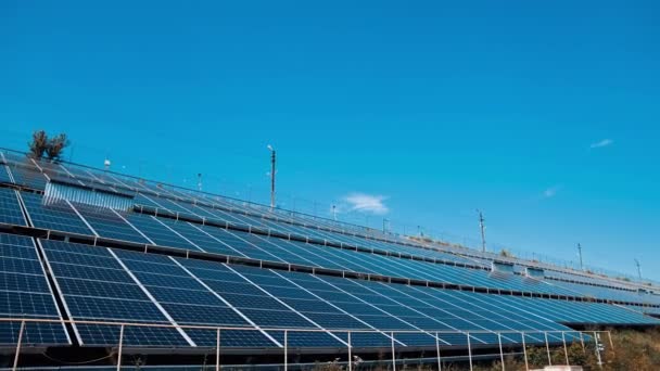 Solcellspaneler Vinkel Solenergianläggning Soliga Batterier Blå Himmel Bakgrund Solljus Produktion — Stockvideo