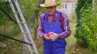 Şapkalı erkek bahçıvan taze olgun bir elmayı açık havada tutuyor. Çiftçi sonbaharda bahçede aromatik elma koklar. Organik yiyecekler.