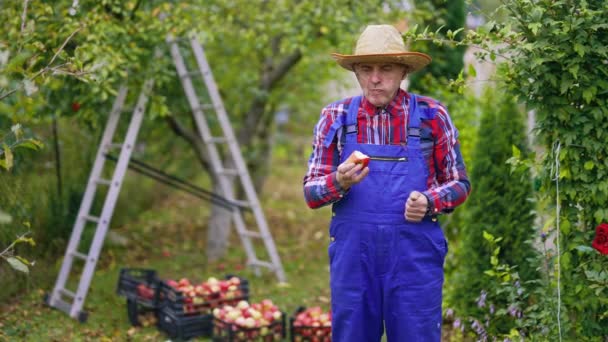 Elmalı Bir Çiftçinin Tam Boy Portresi Bahçesinde Duran Mavi Tulumlu — Stok video