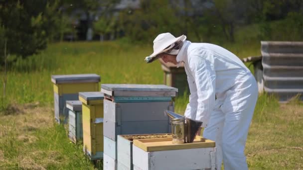 养蜂人在蜂房附近工作 绿色背景蜂窝中的雄性蚜虫 身穿白色防护服 观察蜜蜂 — 图库视频影像