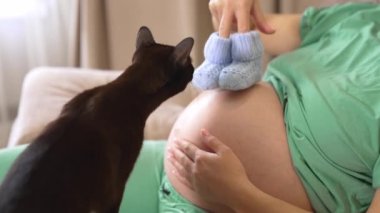 Genç hamile kadın ve siyah kedi evde. Kadın, elinde örgü çorap tutan bir bebek bekliyor. Hamile kadın kanepede dinleniyor ve evcil bir hayvanla oynuyor. Hamilelik ve evcil hayvanlar.