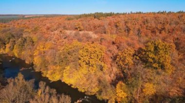 Vahşi bir orman ve akan su manzarası. Sonbaharda ormandaki güzel portakal ağaçları. Mavi temiz göl doğanın arasında. Hava görünümü.