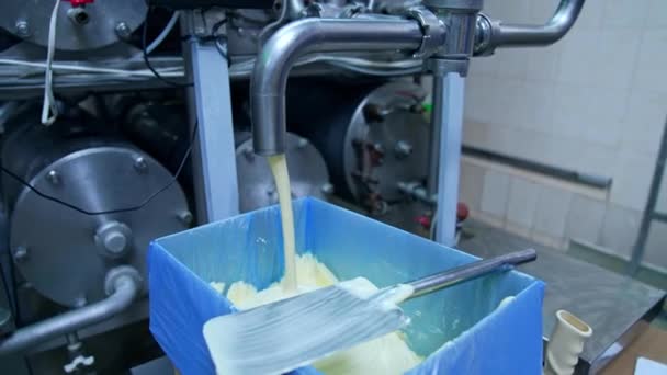 Industriell Utrustning För Mjölkproduktion Färsk Mjölk Som Hälls Särskilda Behållare — Stockvideo