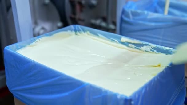 Smooth Dairy Product Box Production Fresh Tasty Butter Milk Farm — Stock Video