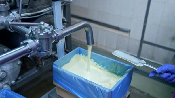 液体バターはパイプから容器に注ぎ込まれています バターの製造工場 自動化されたライン フードプロデュース — ストック動画