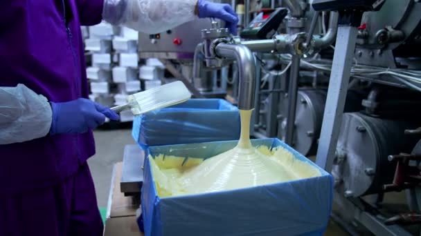 낙농장 공장에 버터를 만들기 공장에 유제품 공장에서 근로자 관에서 상자로 — 비디오