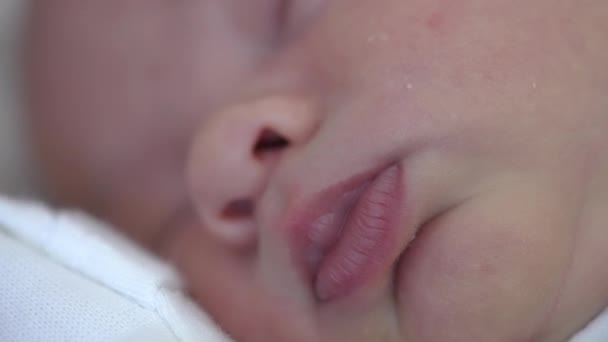 Лицо Новорожденного Ребенка Прекрасный Маленький Нос Рот Малыша Время Сна — стоковое видео