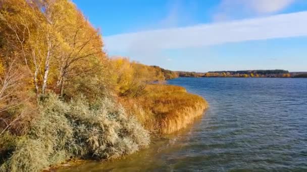 Colori Vivaci Alberi Dorati Vicino Lago Autunno Incredibile Paesaggio Naturale — Video Stock